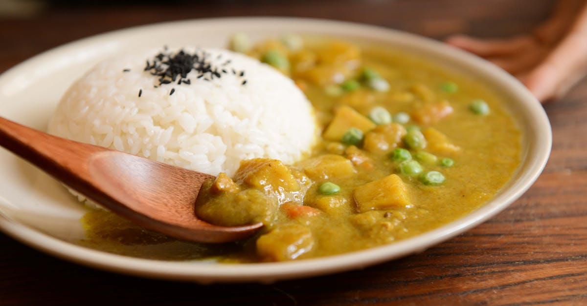 American style chicken curry with rice