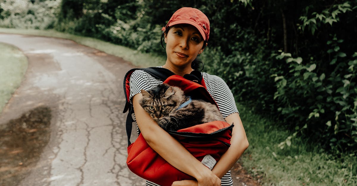 best cat carriers for travel