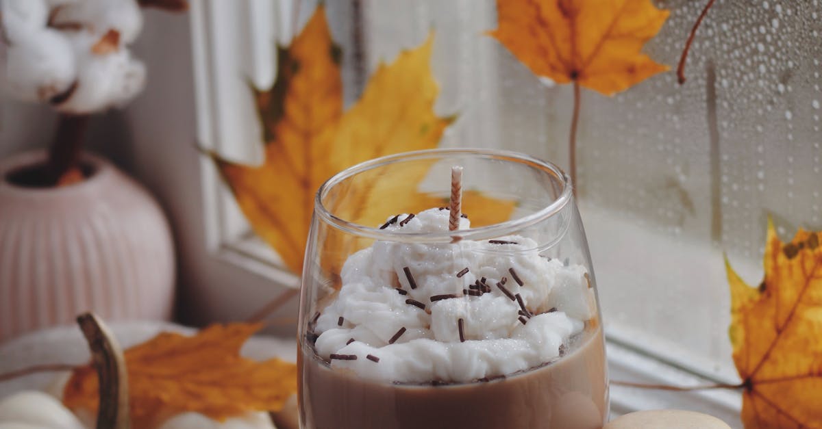 delicious homemade pumpkin chocolate chip cookies