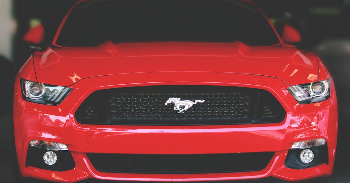 Dodge Charger and Ford Mustang comparison