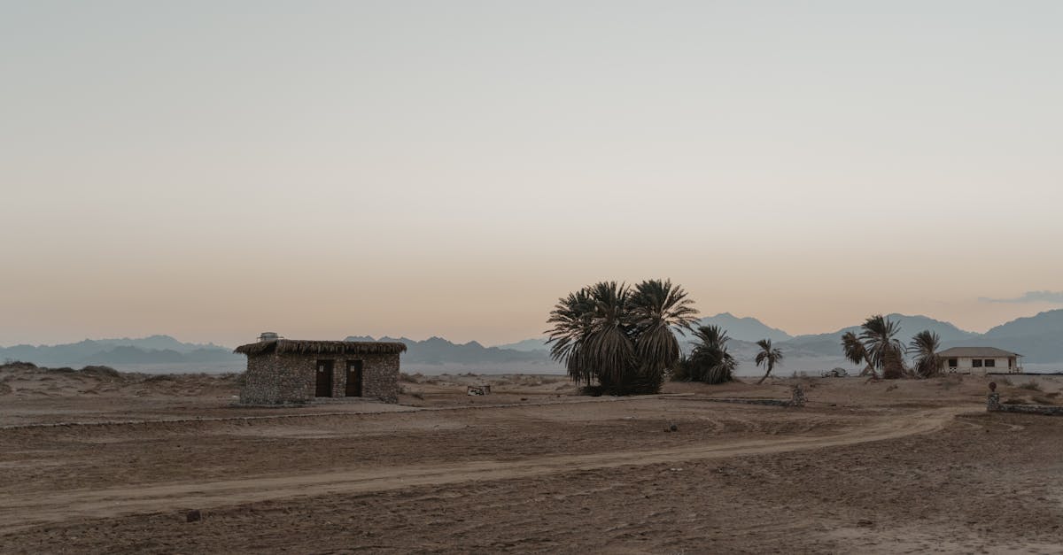 Exploring Santiago Baja’s Palm Oasis