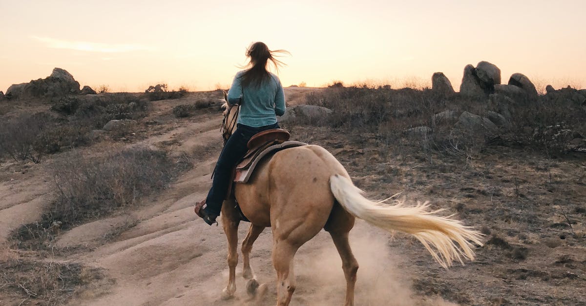 horse riding near me