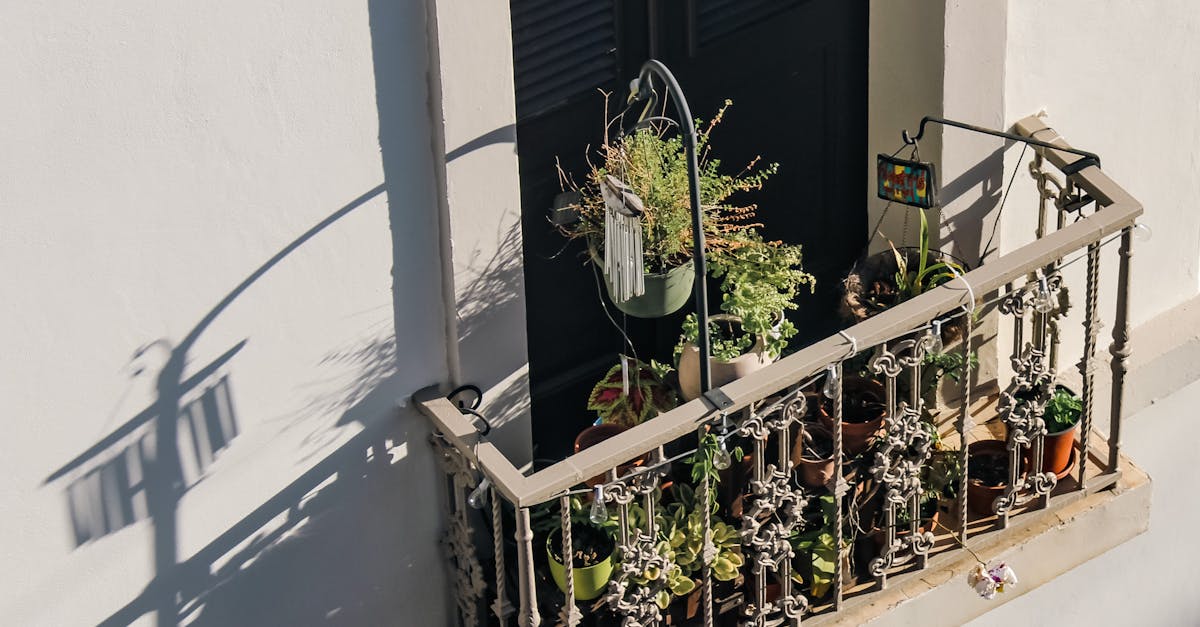 How to grow a garden in an apartment with no outdoor space