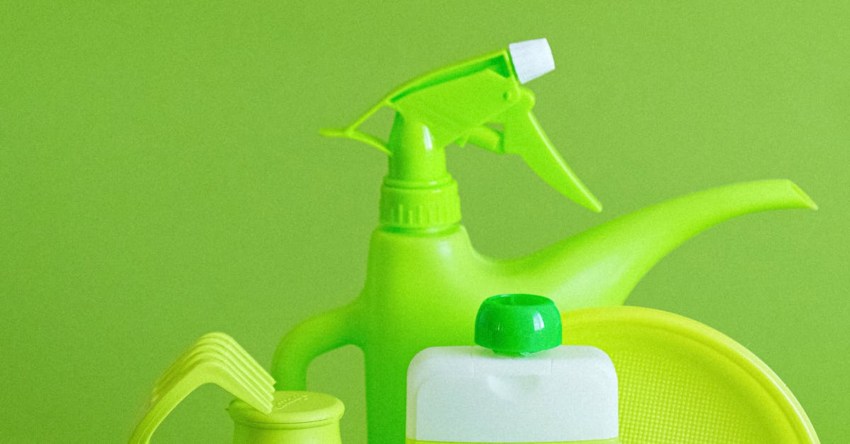 How to make your own non-toxic cleaning supplies