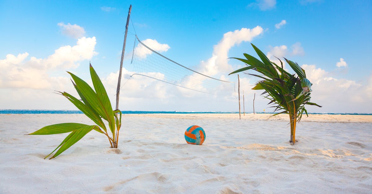 Outdoor volleyball courts near me