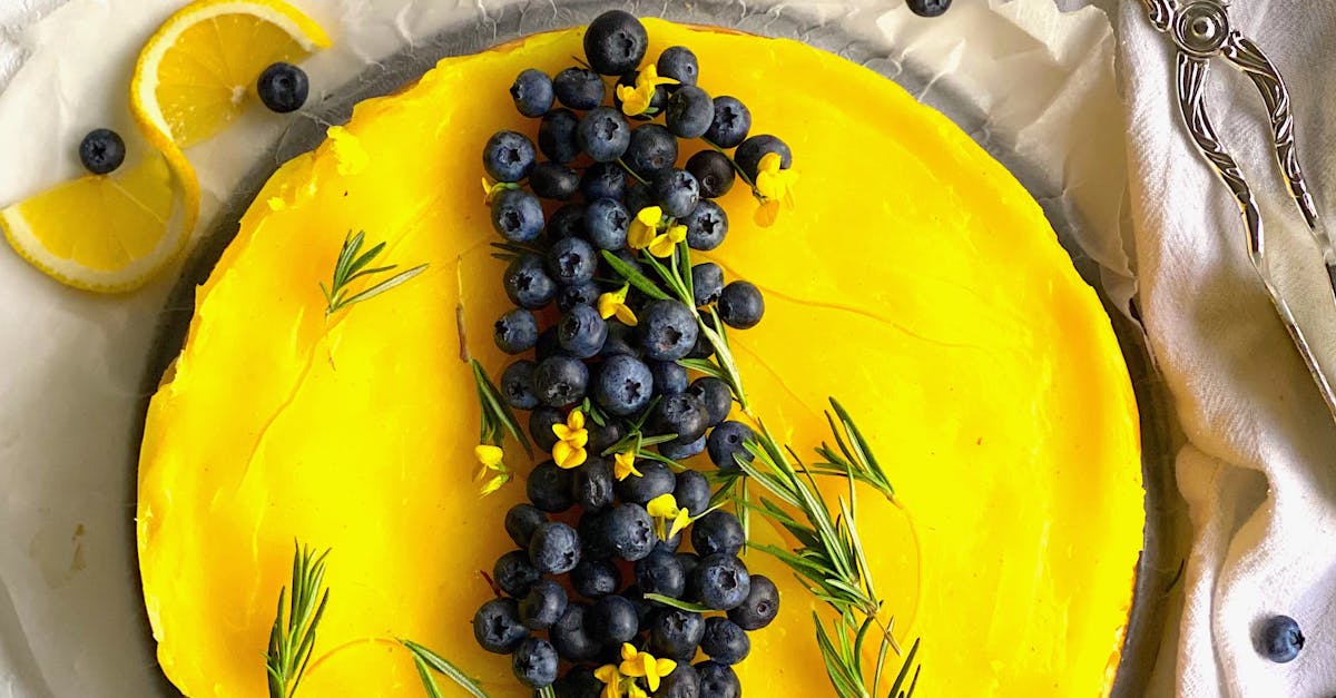 rich American lemon blueberry cheesecake recipe