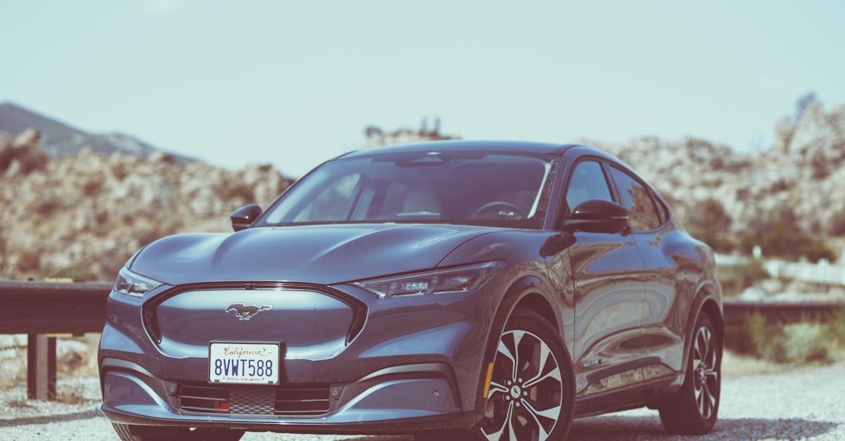 Tesla Model Y Compared To Ford Mustang Mach-E