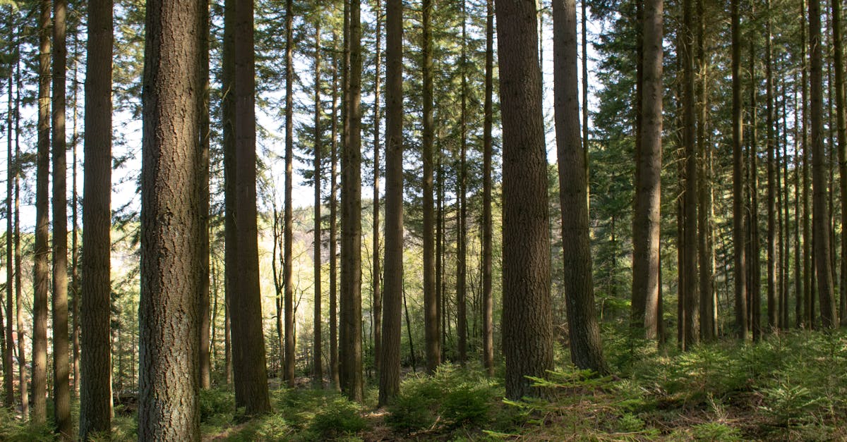 walking trails near me