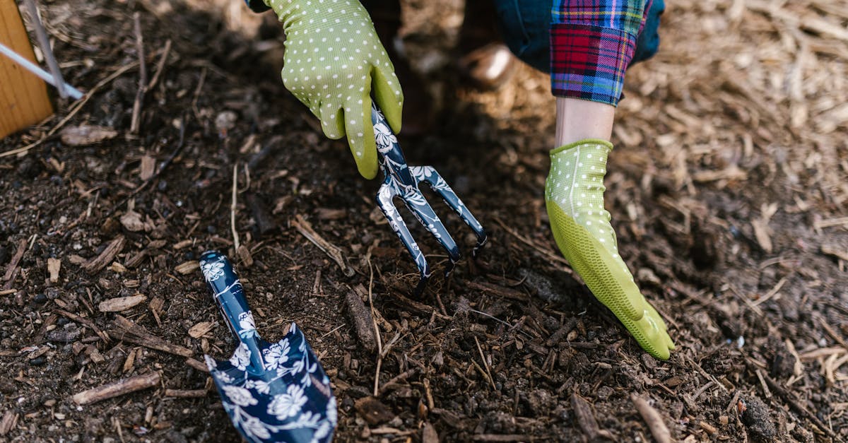 Where Can I Buy Rubber Mulch