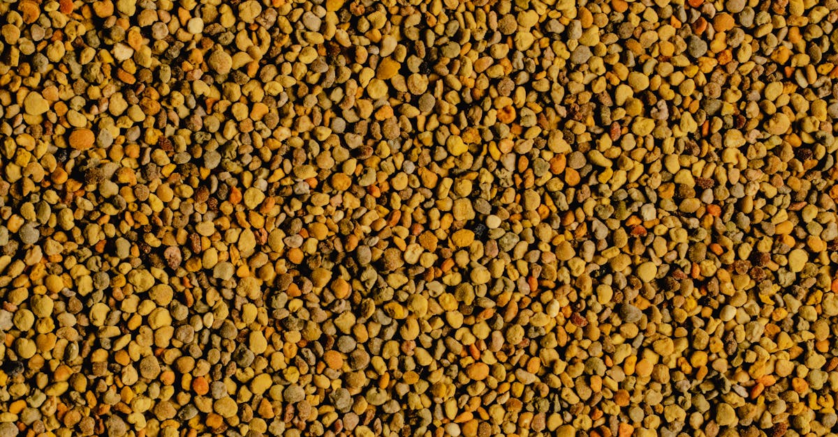 where to buy bee pollen