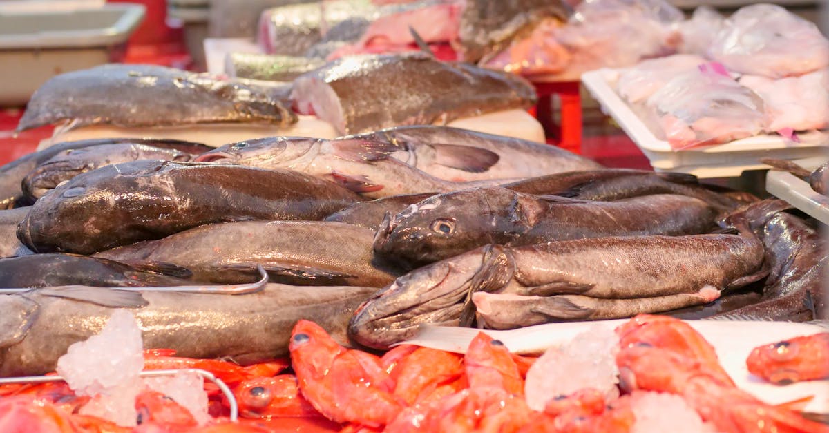 Where To Buy Black Cod