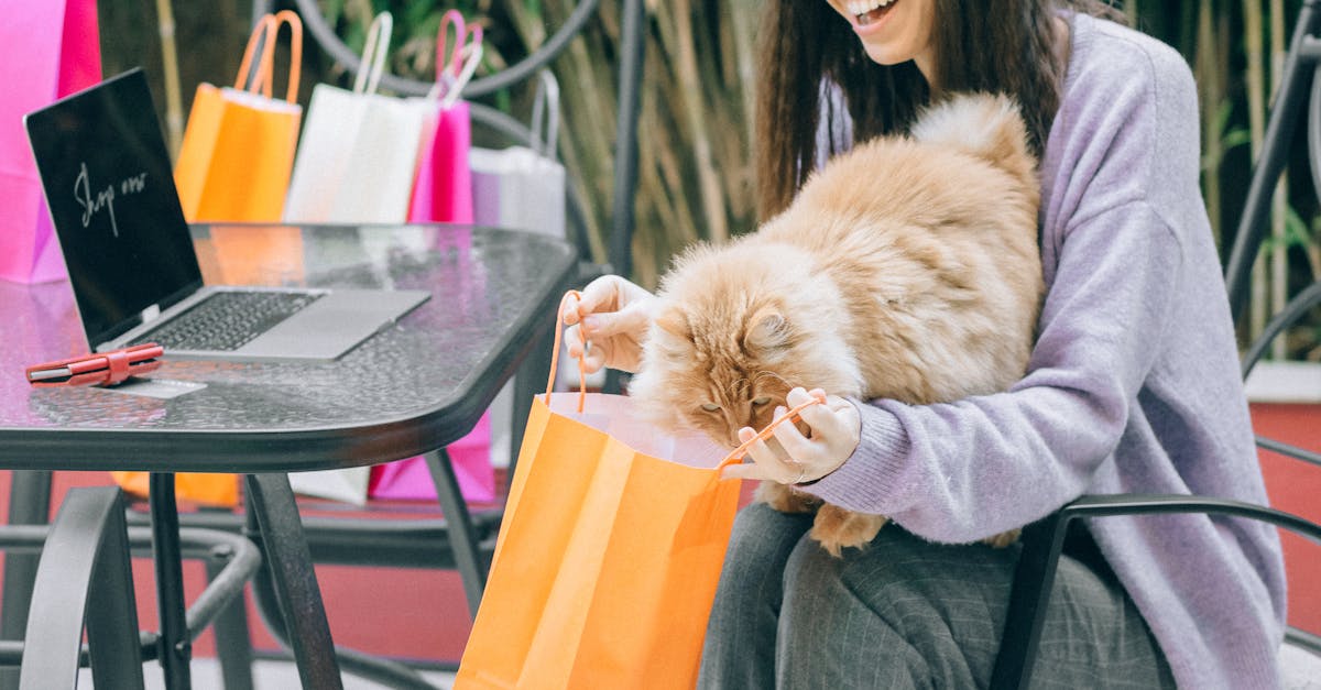 Where to buy the best pet supplies online