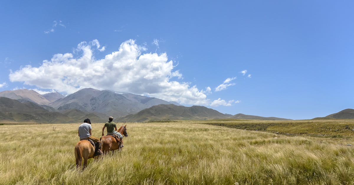 Where to go horseback riding in Argentina