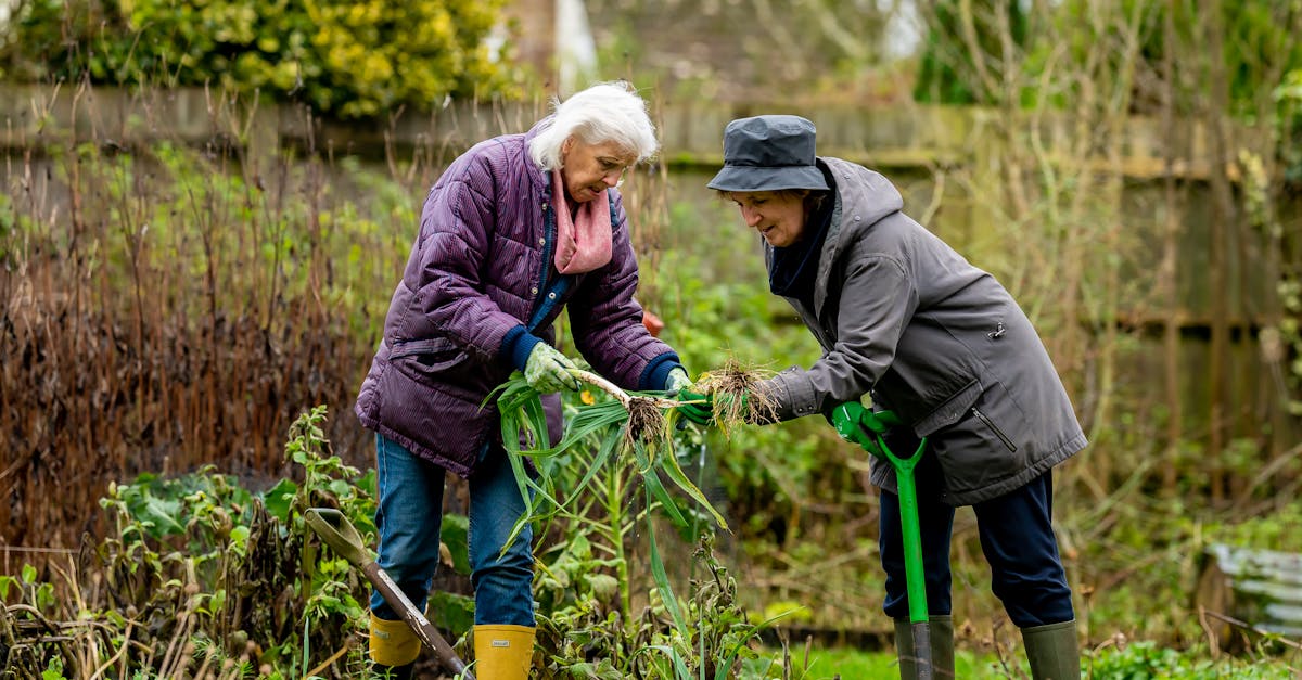 zone 6 planting guide for gardeners