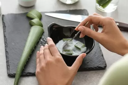 وصفات جل الصبار للشعر