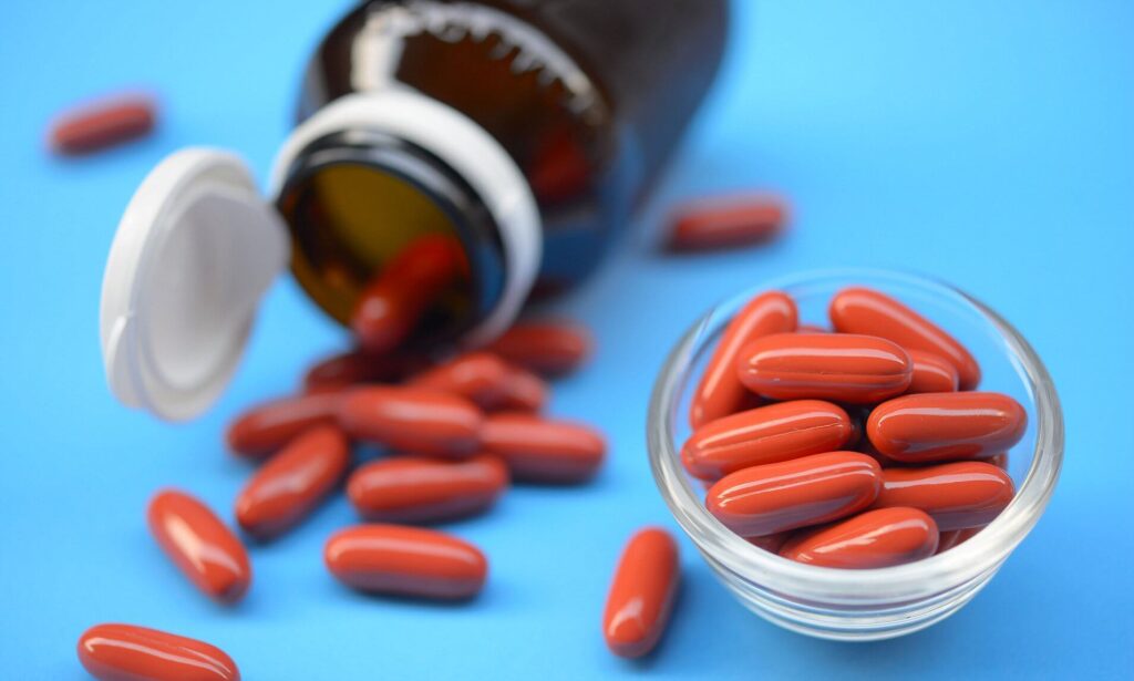 الفرق بين الخبز الأسمر والخبز الأبيض في امتصاص الحديد