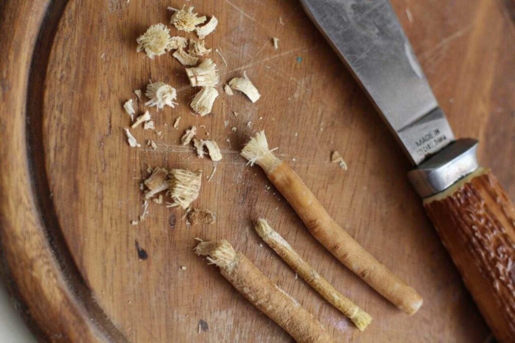 انواع المسواك