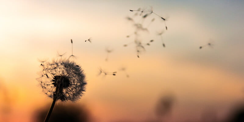 حكم قصيرة عن الحياة