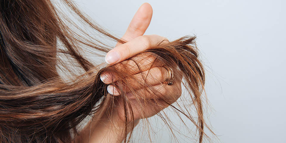 فوائد شجرة الشذاب للعناية بالشعر