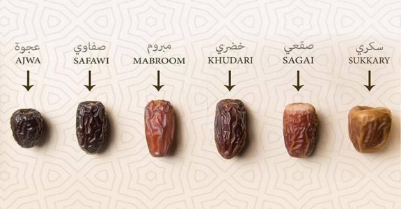 أنواع التمور بالأسماء العربية