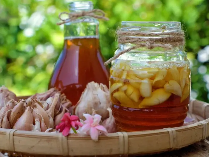 علاج الحمى المالطية بالعسل والثوم والاعشاب